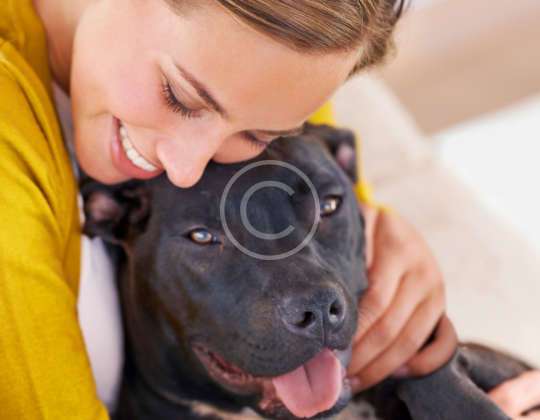 Heartworm: One Bite, One Infection, That’s Enough
